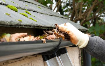gutter cleaning Forest Mill, Clackmannanshire