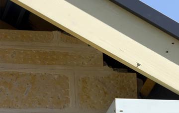 soffit repair Forest Mill